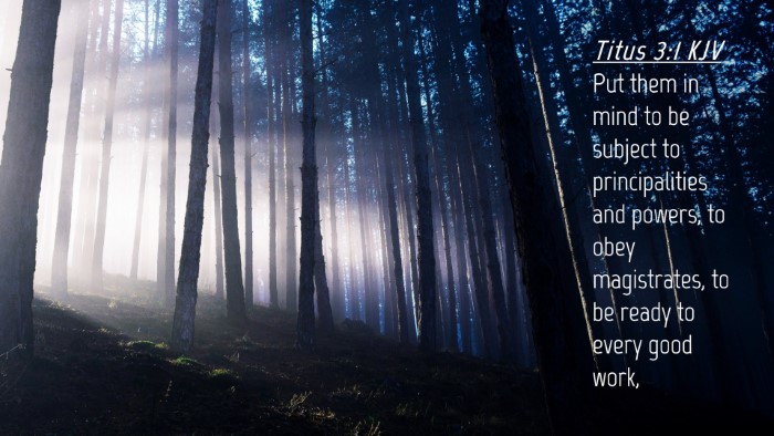 Picture 04 - Titus 3:1 KJV Desktop Wallpaper - Put them in mind to be subject to principalities - Desktop Bible Verse Wallpaper
