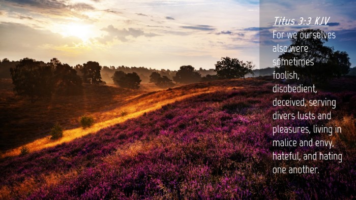 Picture 04 - Titus 3:3 KJV Desktop Wallpaper - For we ourselves also were sometimes foolish, - Desktop Bible Verse Wallpaper