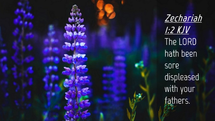 Picture 04 - Zechariah 1:2 KJV Desktop Wallpaper - The LORD hath been sore displeased with your - Desktop Bible Verse Wallpaper