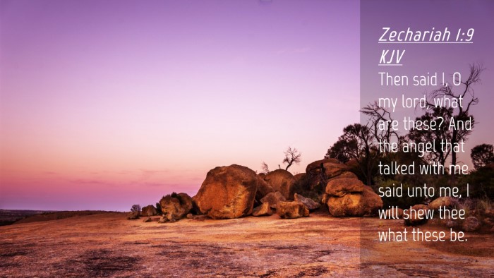 Picture 04 - Zechariah 1:9 KJV Desktop Wallpaper - Then said I, O my lord, what are these? And the - Desktop Bible Verse Wallpaper