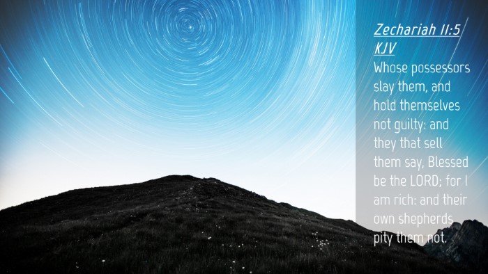 Picture 04 - Zechariah 11:5 KJV Desktop Wallpaper - Whose possessors slay them, and hold themselves - Desktop Bible Verse Wallpaper