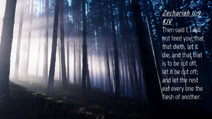Picture 04 - Zechariah 11:9 KJV Desktop Wallpaper - Then said I, I will not feed you: that that - Desktop Bible Verse Wallpaper