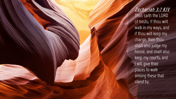 Picture 04 - Zechariah 3:7 KJV Desktop Wallpaper - Thus saith the LORD of hosts; If thou wilt walk - Desktop Bible Verse Wallpaper
