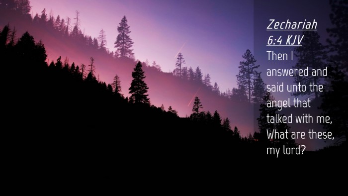 Picture 04 - Zechariah 6:4 KJV Desktop Wallpaper - Then I answered and said unto the angel that - Desktop Bible Verse Wallpaper
