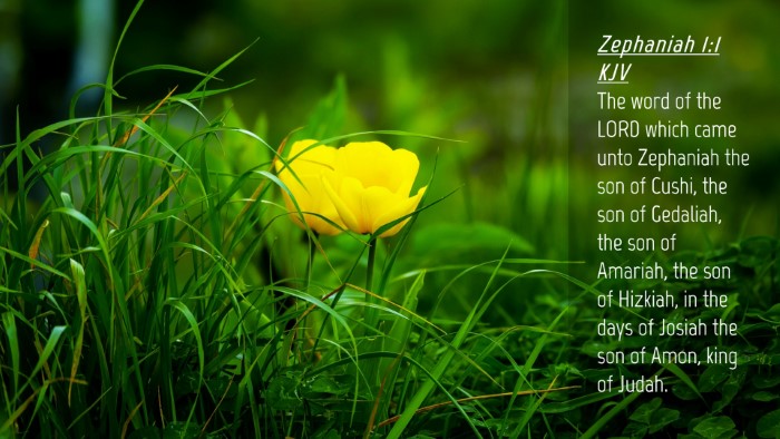 Picture 04 - Zephaniah 1:1 KJV Desktop Wallpaper - The word of the LORD which came unto Zephaniah - Desktop Bible Verse Wallpaper