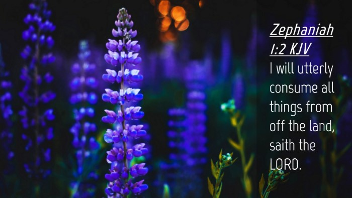 Picture 04 - Zephaniah 1:2 KJV Desktop Wallpaper - I will utterly consume all things from off the - Desktop Bible Verse Wallpaper