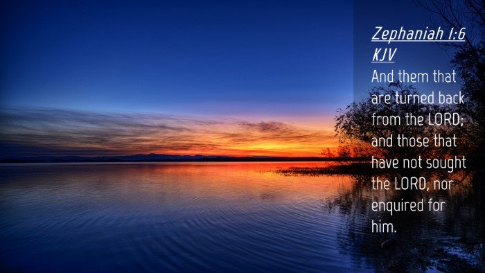 Picture 04 - Zephaniah 1:6 KJV Desktop Wallpaper - And them that are turned back from the LORD; and - Desktop Bible Verse Wallpaper