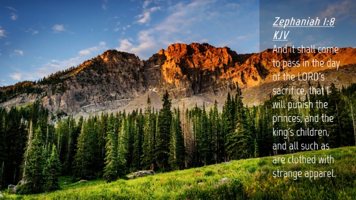 Picture 04 - Zephaniah 1:8 KJV Desktop Wallpaper - And it shall come to pass in the day of the - Desktop Bible Verse Wallpaper