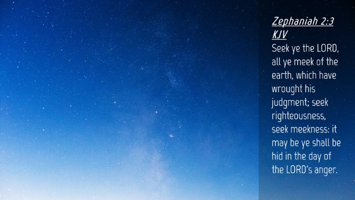 Picture 04 - Zephaniah 2:3 KJV Desktop Wallpaper - Seek ye the LORD, all ye meek of the earth, which - Desktop Bible Verse Wallpaper