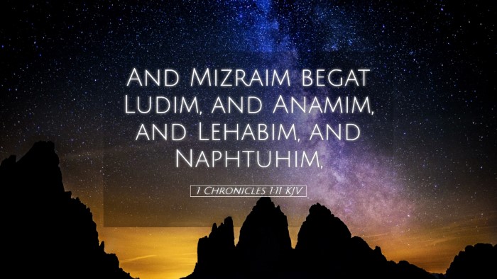 Picture 05 - 1 Chronicles 1:11 KJV Desktop Wallpaper - And Mizraim begat Ludim, and Anamim, and Lehabim, - Desktop Bible Verse Wallpaper