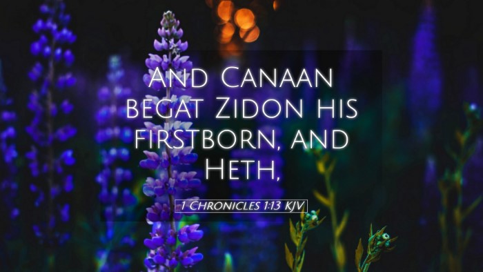 Picture 05 - 1 Chronicles 1:13 KJV Desktop Wallpaper - And Canaan begat Zidon his firstborn, and - Desktop Bible Verse Wallpaper