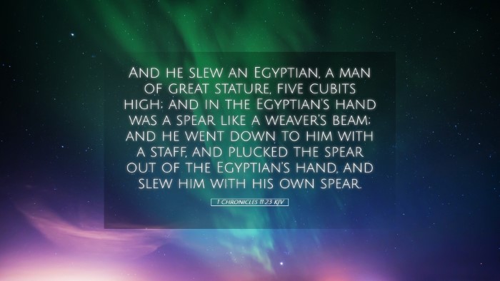 Picture 05 - 1 Chronicles 11:23 KJV Desktop Wallpaper - And he slew an Egyptian, a man of great stature, - Desktop Bible Verse Wallpaper