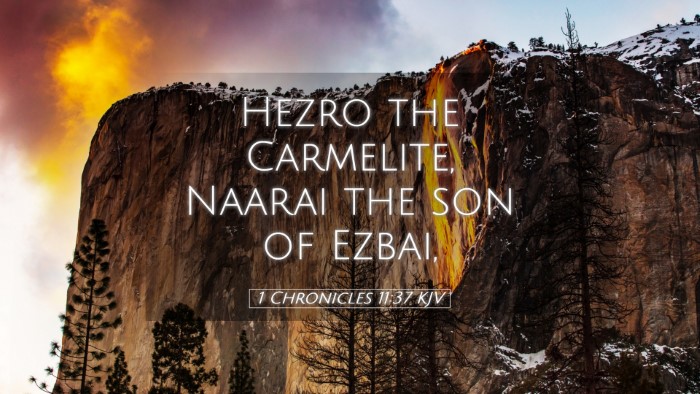 Picture 05 - 1 Chronicles 11:37 KJV Desktop Wallpaper - Hezro the Carmelite, Naarai the son of - Desktop Bible Verse Wallpaper
