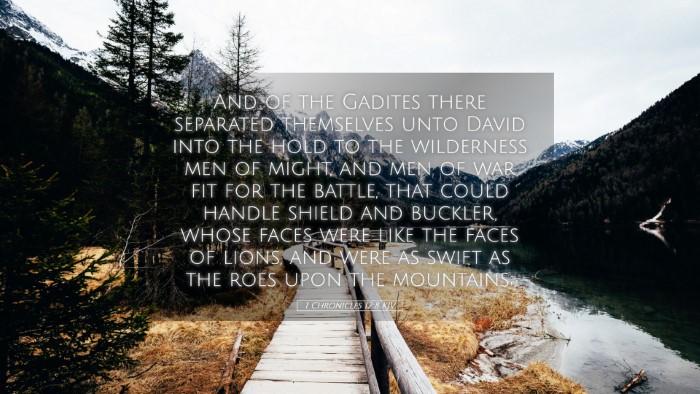 Picture 05 - 1 Chronicles 12:8 KJV Desktop Wallpaper - And of the Gadites there separated themselves - Desktop Bible Verse Wallpaper