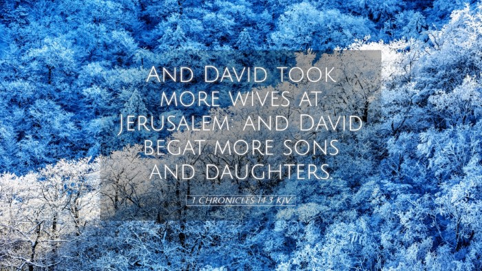 Picture 05 - 1 Chronicles 14:3 KJV Desktop Wallpaper - And David took more wives at Jerusalem: and David - Desktop Bible Verse Wallpaper