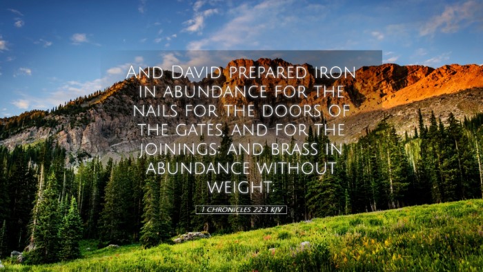 Picture 05 - 1 Chronicles 22:3 KJV Desktop Wallpaper - And David prepared iron in abundance for the - Desktop Bible Verse Wallpaper