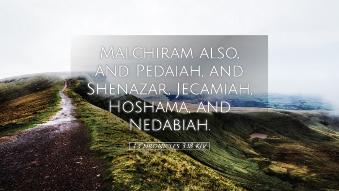 Picture 05 - 1 Chronicles 3:18 KJV Desktop Wallpaper - Malchiram also, and Pedaiah, and Shenazar, - Desktop Bible Verse Wallpaper