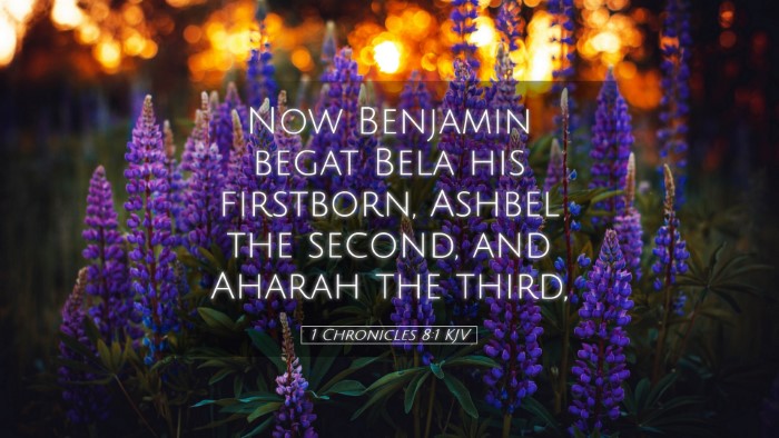 Picture 05 - 1 Chronicles 8:1 KJV Desktop Wallpaper - Now Benjamin begat Bela his firstborn, Ashbel the - Desktop Bible Verse Wallpaper