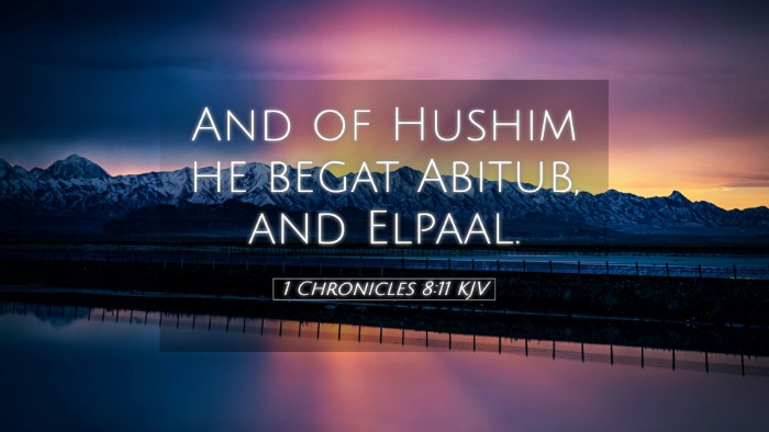 Picture 05 - 1 Chronicles 8:11 KJV Desktop Wallpaper - And of Hushim he begat Abitub, and - Desktop Bible Verse Wallpaper