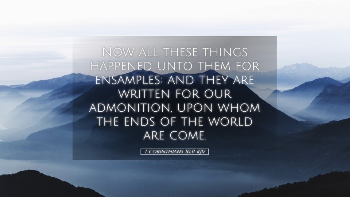 Picture 05 - 1 Corinthians 10:11 KJV Desktop Wallpaper - Now all these things happened unto them for - Desktop Bible Verse Wallpaper