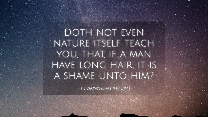 Picture 05 - 1 Corinthians 11:14 KJV Desktop Wallpaper - Doth not even nature itself teach you, that, if a - Desktop Bible Verse Wallpaper
