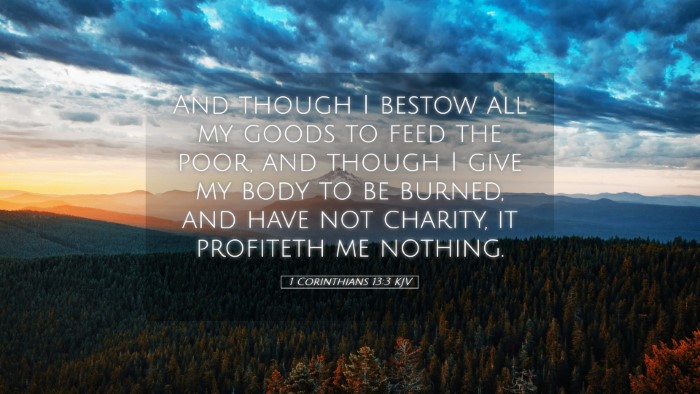 Picture 05 - 1 Corinthians 13:3 KJV Desktop Wallpaper - And though I bestow all my goods to feed the - Desktop Bible Verse Wallpaper