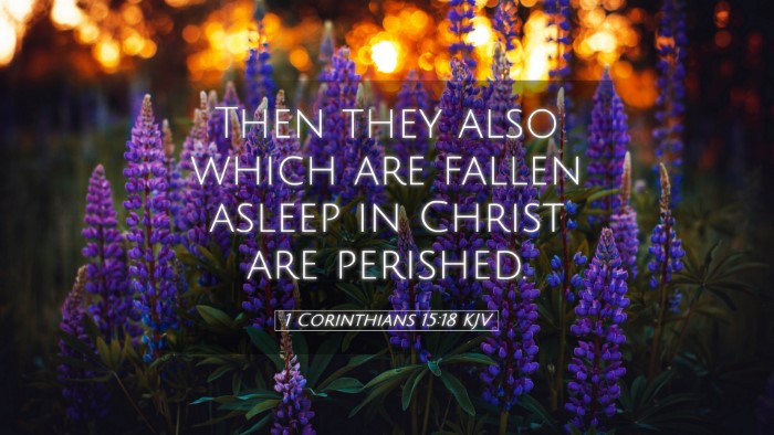 Picture 05 - 1 Corinthians 15:18 KJV Desktop Wallpaper - Then they also which are fallen asleep in Christ - Desktop Bible Verse Wallpaper