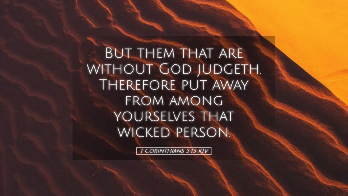 Picture 05 - 1 Corinthians 5:13 KJV Desktop Wallpaper - But them that are without God judgeth. Therefore - Desktop Bible Verse Wallpaper