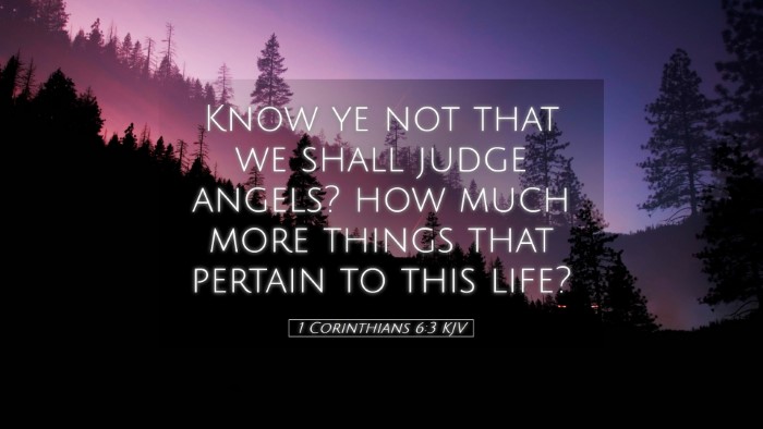 Picture 05 - 1 Corinthians 6:3 KJV Desktop Wallpaper - Know ye not that we shall judge angels? how much - Desktop Bible Verse Wallpaper