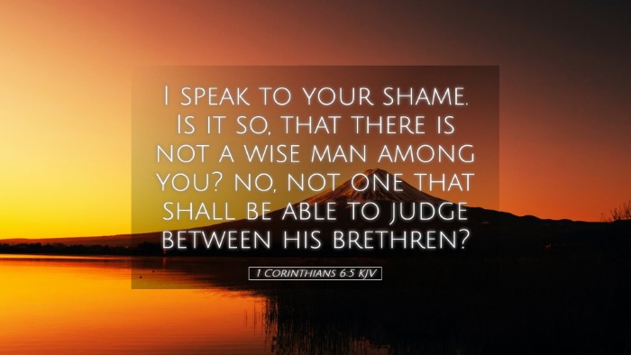 Picture 05 - 1 Corinthians 6:5 KJV Desktop Wallpaper - I speak to your shame. Is it so, that there is - Desktop Bible Verse Wallpaper