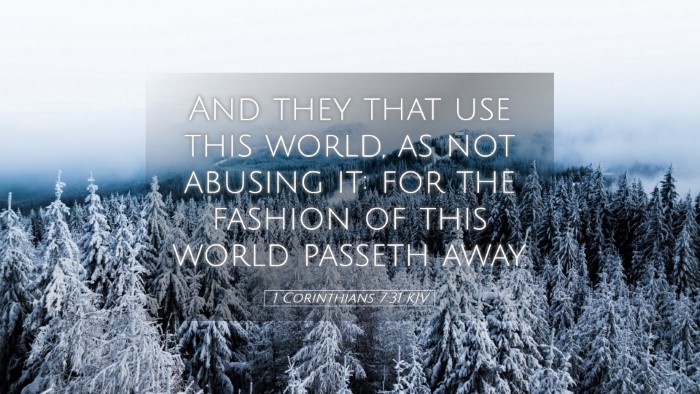 Picture 05 - 1 Corinthians 7:31 KJV Desktop Wallpaper - And they that use this world, as not abusing it: - Desktop Bible Verse Wallpaper