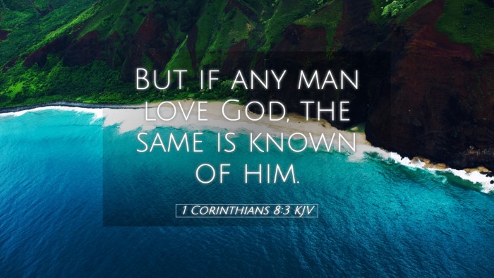 Picture 05 - 1 Corinthians 8:3 KJV Desktop Wallpaper - But if any man love God, the same is known of - Desktop Bible Verse Wallpaper