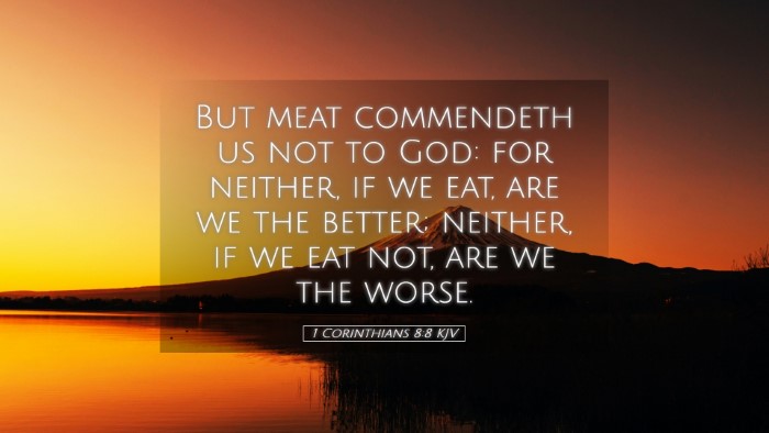 Picture 05 - 1 Corinthians 8:8 KJV Desktop Wallpaper - But meat commendeth us not to God: for neither, - Desktop Bible Verse Wallpaper