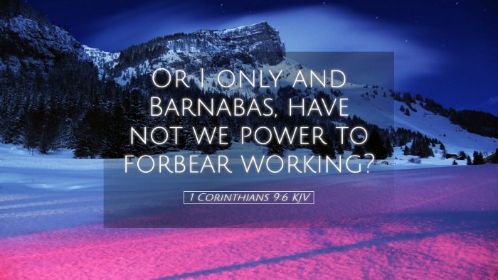 Picture 05 - 1 Corinthians 9:6 KJV Desktop Wallpaper - Or I only and Barnabas, have not we power to - Desktop Bible Verse Wallpaper