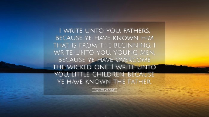 Picture 05 - 1 John 2:13 KJV Desktop Wallpaper - I write unto you, fathers, because ye have known - Desktop Bible Verse Wallpaper