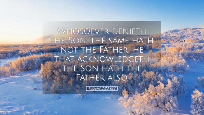 Picture 05 - 1 John 2:23 KJV Desktop Wallpaper - Whosoever denieth the Son, the same hath not the - Desktop Bible Verse Wallpaper