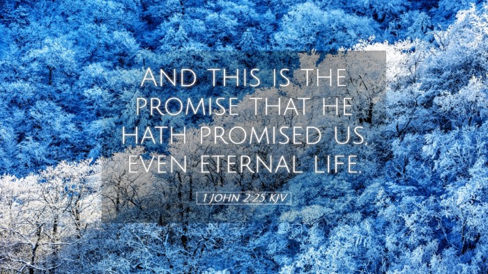Picture 05 - 1 John 2:25 KJV Desktop Wallpaper - And this is the promise that he hath promised us, - Desktop Bible Verse Wallpaper