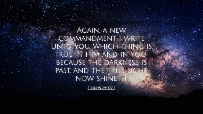 Picture 05 - 1 John 2:8 KJV Desktop Wallpaper - Again, a new commandment I write unto you, which - Desktop Bible Verse Wallpaper