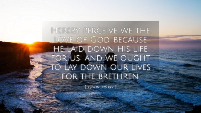 Picture 05 - 1 John 3:16 KJV Desktop Wallpaper - Hereby perceive we the love of God, because he - Desktop Bible Verse Wallpaper