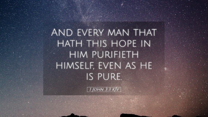 Picture 05 - 1 John 3:3 KJV Desktop Wallpaper - And every man that hath this hope in him - Desktop Bible Verse Wallpaper