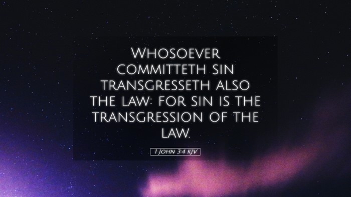 Picture 05 - 1 John 3:4 KJV Desktop Wallpaper - Whosoever committeth sin transgresseth also the - Desktop Bible Verse Wallpaper