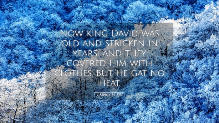 Picture 05 - 1 Kings 1:1 KJV Desktop Wallpaper - Now king David was old and stricken in years; and - Desktop Bible Verse Wallpaper