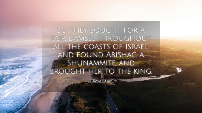 Picture 05 - 1 Kings 1:3 KJV Desktop Wallpaper - So they sought for a fair damsel throughout all - Desktop Bible Verse Wallpaper
