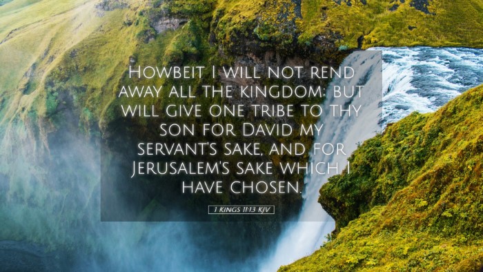 Picture 05 - 1 Kings 11:13 KJV Desktop Wallpaper - Howbeit I will not rend away all the kingdom; but - Desktop Bible Verse Wallpaper