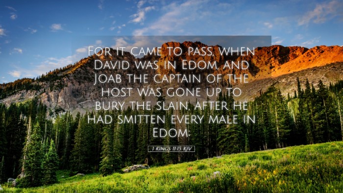 Picture 05 - 1 Kings 11:15 KJV Desktop Wallpaper - For it came to pass, when David was in Edom, and - Desktop Bible Verse Wallpaper