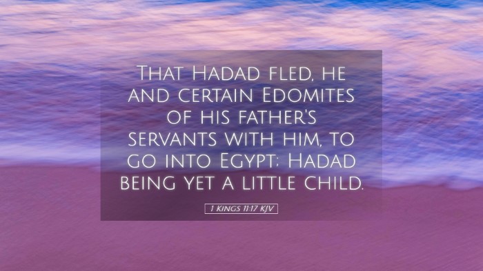 Picture 05 - 1 Kings 11:17 KJV Desktop Wallpaper - That Hadad fled, he and certain Edomites of his - Desktop Bible Verse Wallpaper