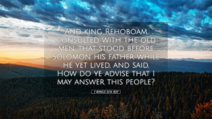 Picture 05 - 1 Kings 12:6 KJV Desktop Wallpaper - And king Rehoboam consulted with the old men, - Desktop Bible Verse Wallpaper