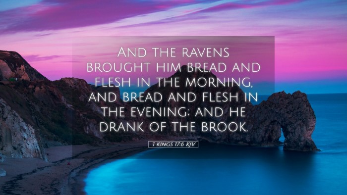 Picture 05 - 1 Kings 17:6 KJV Desktop Wallpaper - And the ravens brought him bread and flesh in the - Desktop Bible Verse Wallpaper