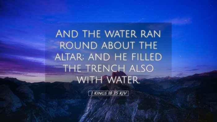 Picture 05 - 1 Kings 18:35 KJV Desktop Wallpaper - And the water ran round about the altar; and he - Desktop Bible Verse Wallpaper