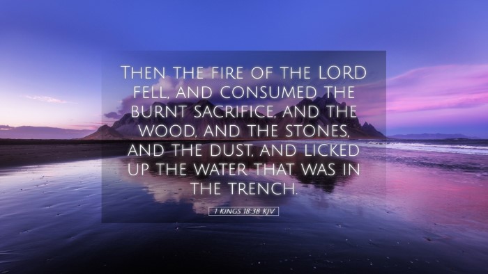 Picture 05 - 1 Kings 18:38 KJV Desktop Wallpaper - Then the fire of the LORD fell, and consumed the - Desktop Bible Verse Wallpaper